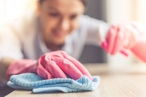 Pro Maid Cleaning Lady